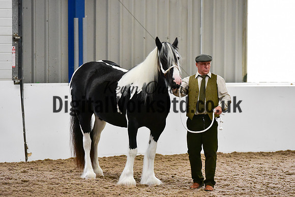 NECWPCA-SUMMER-WELSH-SILVER-MEDAL-SHOW (36 of 150)