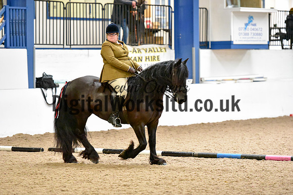 NECWPCA-SUMMER-WELSH-SILVER-MEDAL-SHOW (114 of 325)