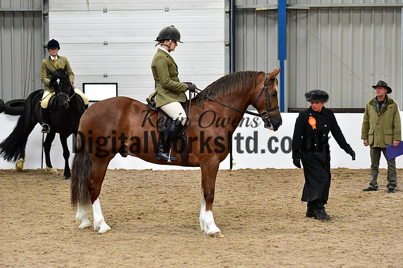 NECWPCA-SUMMER-WELSH-SILVER-MEDAL-SHOW (177 of 315)