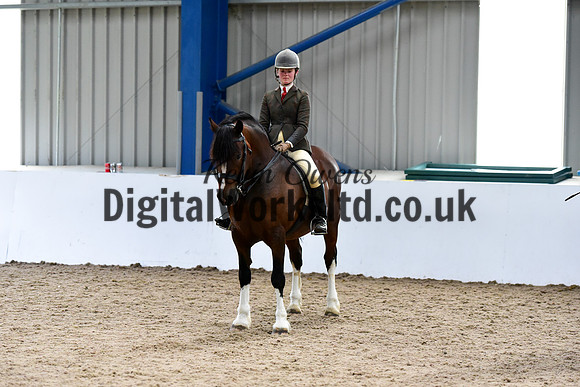 NECWPCA-SUMMER-WELSH-SILVER-MEDAL-SHOW (20 of 92)