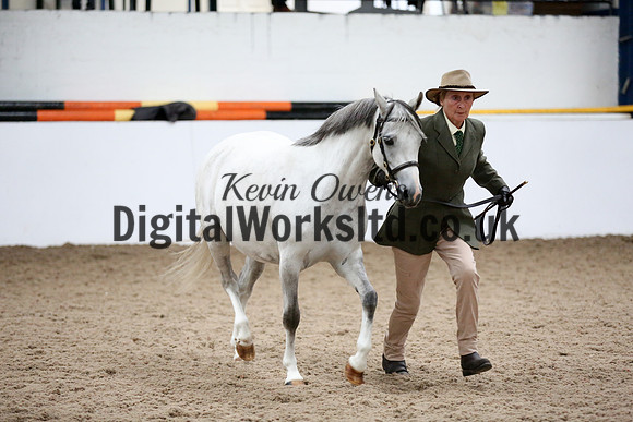 NECWPCA-SUMMER-WELSH-SILVER-MEDAL-SHOW (55 of 427)