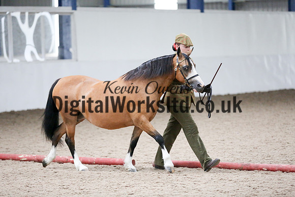 NECWPCA-SUMMER-WELSH-SILVER-MEDAL-SHOW (17 of 427)