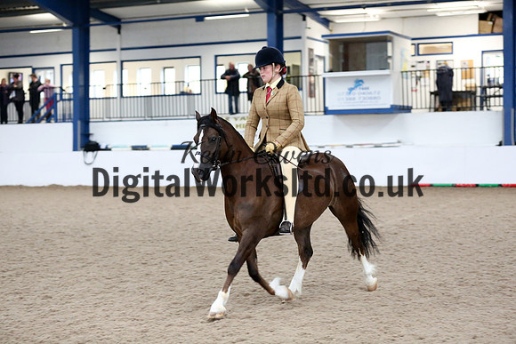 NECWPCA-SUMMER-WELSH-SILVER-MEDAL-SHOW (5 of 325)