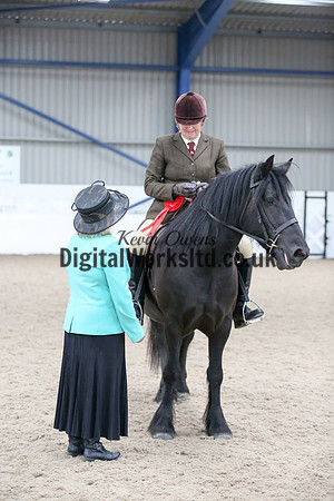 NECWPCA-SUMMER-WELSH-SILVER-MEDAL-SHOW (52 of 419)