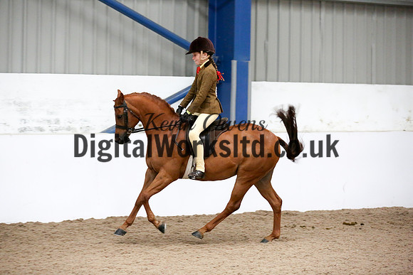 NECWPCA-SUMMER-WELSH-SILVER-MEDAL-SHOW (68 of 325)