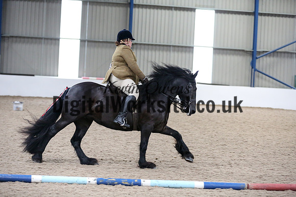 NECWPCA-SUMMER-WELSH-SILVER-MEDAL-SHOW (145 of 325)