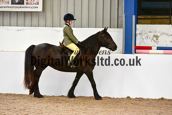 NECWPCA-SUMMER-WELSH-SILVER-MEDAL-SHOW (54 of 419)