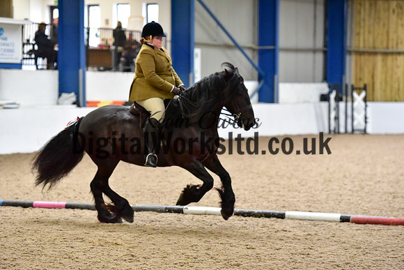 NECWPCA-SUMMER-WELSH-SILVER-MEDAL-SHOW (141 of 325)