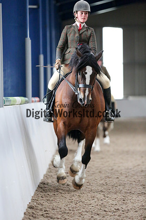 NECWPCA-SUMMER-WELSH-SILVER-MEDAL-SHOW (187 of 325)