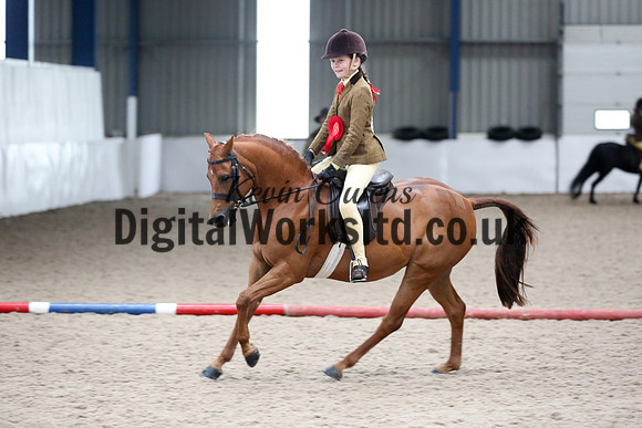 NECWPCA-SUMMER-WELSH-SILVER-MEDAL-SHOW (124 of 315)
