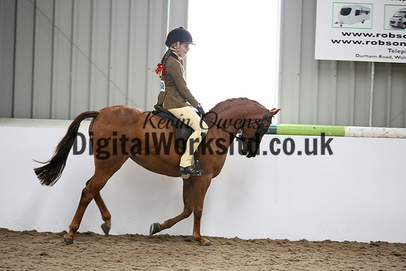 NECWPCA-SUMMER-WELSH-SILVER-MEDAL-SHOW (59 of 325)