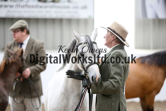 NECWPCA-SUMMER-WELSH-SILVER-MEDAL-SHOW (41 of 427)