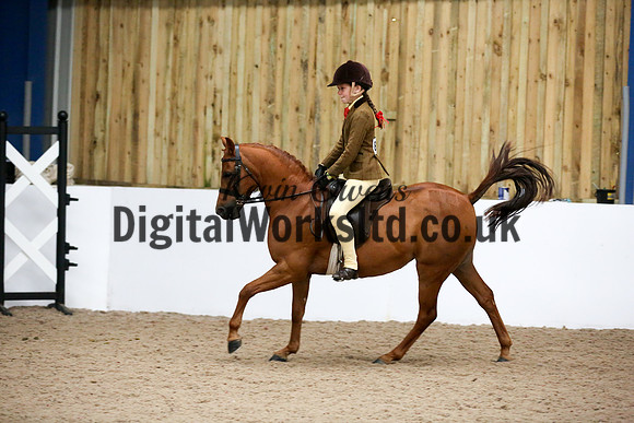 NECWPCA-SUMMER-WELSH-SILVER-MEDAL-SHOW (65 of 325)