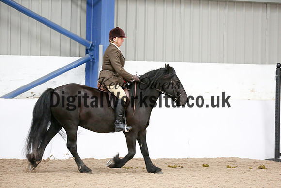 NECWPCA-SUMMER-WELSH-SILVER-MEDAL-SHOW (122 of 315)