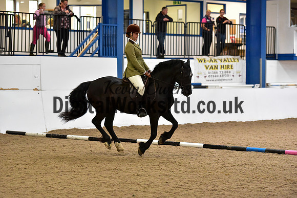 NECWPCA-SUMMER-WELSH-SILVER-MEDAL-SHOW (45 of 315)