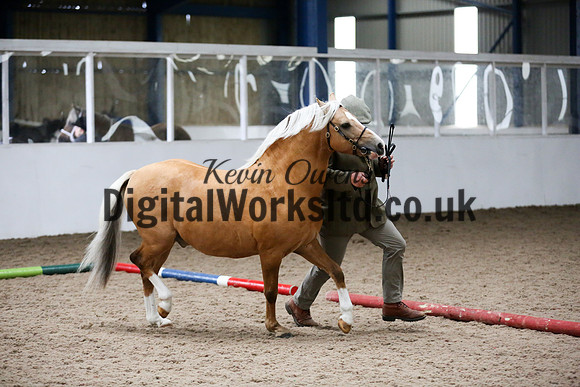 NECWPCA-SUMMER-WELSH-SILVER-MEDAL-SHOW (8 of 134)