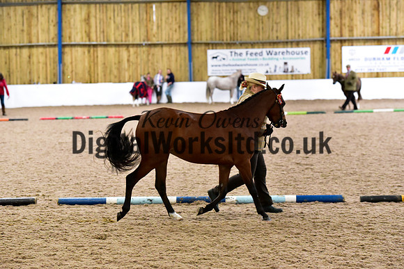 NECWPCA-SUMMER-WELSH-SILVER-MEDAL-SHOW (2 of 61)