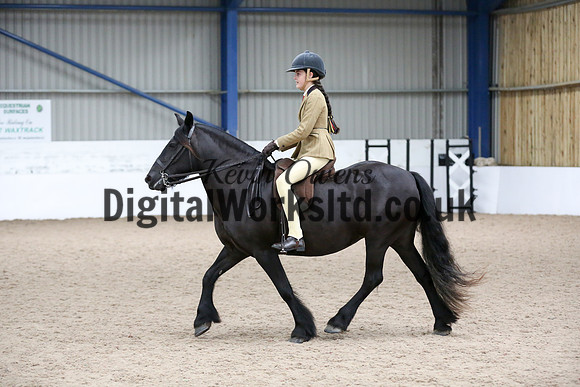 NECWPCA-SUMMER-WELSH-SILVER-MEDAL-SHOW (19 of 120)