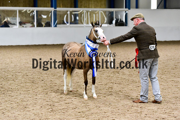 NECWPCA-SUMMER-WELSH-SILVER-MEDAL-SHOW (16 of 159)