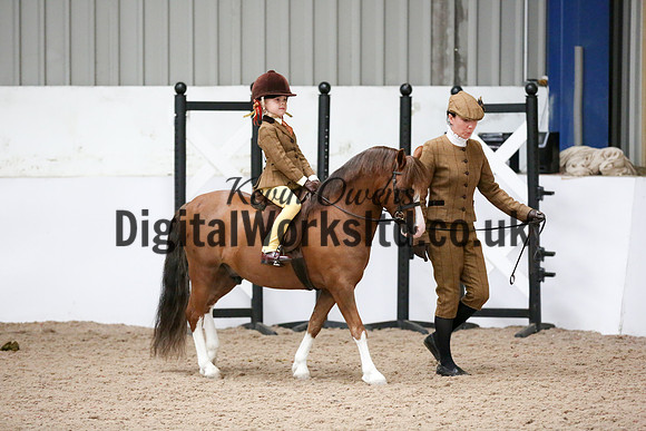NECWPCA-SUMMER-WELSH-SILVER-MEDAL-SHOW (85 of 325)