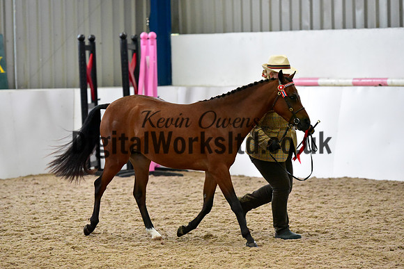 NECWPCA-SUMMER-WELSH-SILVER-MEDAL-SHOW (49 of 61)