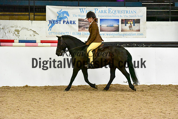 NECWPCA-SUMMER-WELSH-SILVER-MEDAL-SHOW (291 of 315)