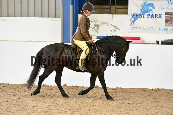 NECWPCA-SUMMER-WELSH-SILVER-MEDAL-SHOW (130 of 315)
