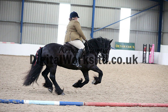NECWPCA-SUMMER-WELSH-SILVER-MEDAL-SHOW (146 of 325)
