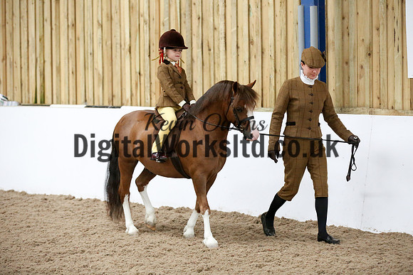 NECWPCA-SUMMER-WELSH-SILVER-MEDAL-SHOW (90 of 325)