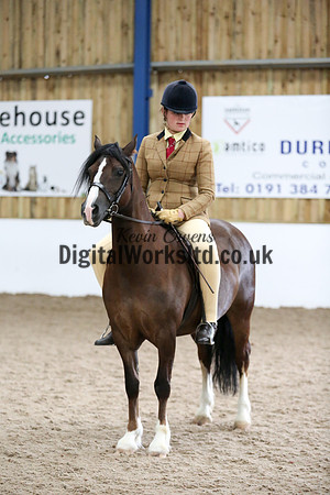 NECWPCA-SUMMER-WELSH-SILVER-MEDAL-SHOW (3 of 325)