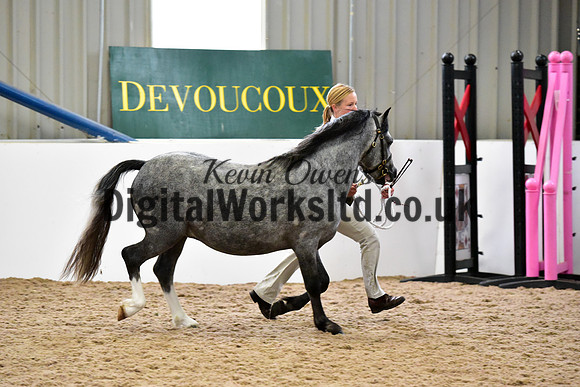 NECWPCA-SUMMER-WELSH-SILVER-MEDAL-SHOW (10 of 305)