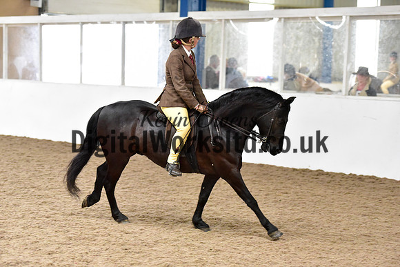 NECWPCA-SUMMER-WELSH-SILVER-MEDAL-SHOW (149 of 315)