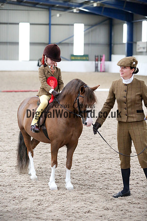 NECWPCA-SUMMER-WELSH-SILVER-MEDAL-SHOW (112 of 325)