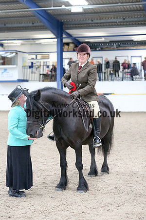 NECWPCA-SUMMER-WELSH-SILVER-MEDAL-SHOW (49 of 419)