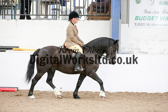 NECWPCA-SUMMER-WELSH-SILVER-MEDAL-SHOW (243 of 315)
