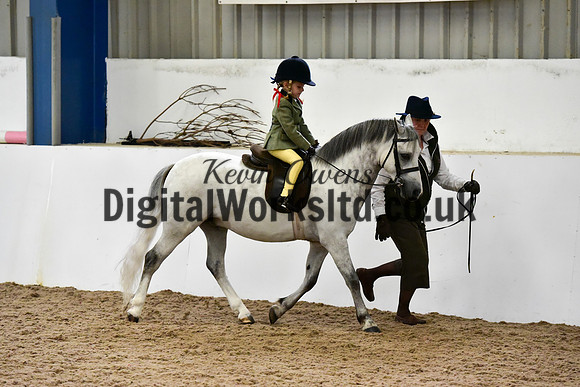 NECWPCA-SUMMER-WELSH-SILVER-MEDAL-SHOW (7 of 135)