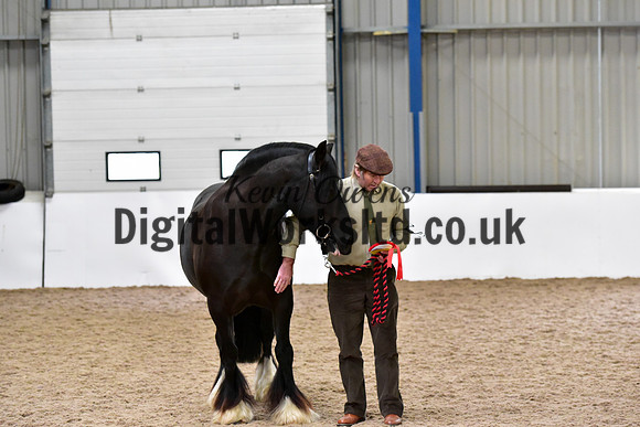 NECWPCA-SUMMER-WELSH-SILVER-MEDAL-SHOW (7 of 150)