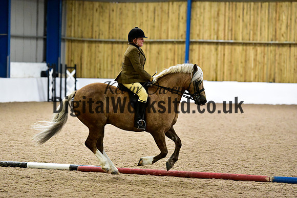 NECWPCA-SUMMER-WELSH-SILVER-MEDAL-SHOW (140 of 325)