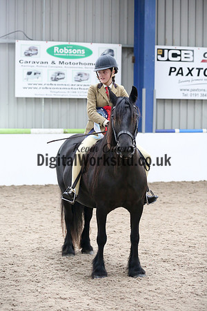 NECWPCA-SUMMER-WELSH-SILVER-MEDAL-SHOW (154 of 315)