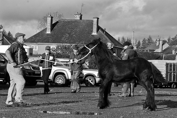untitled (784 of 419)