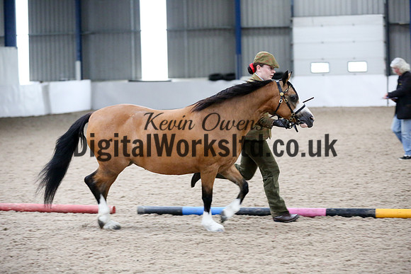 NECWPCA-SUMMER-WELSH-SILVER-MEDAL-SHOW (36 of 427)