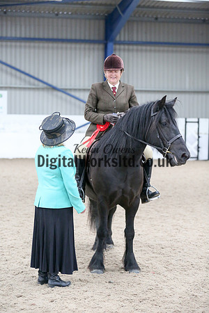NECWPCA-SUMMER-WELSH-SILVER-MEDAL-SHOW (51 of 419)