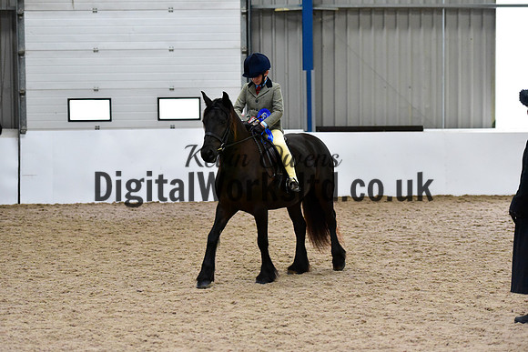 NECWPCA-SUMMER-WELSH-SILVER-MEDAL-SHOW (15 of 334)