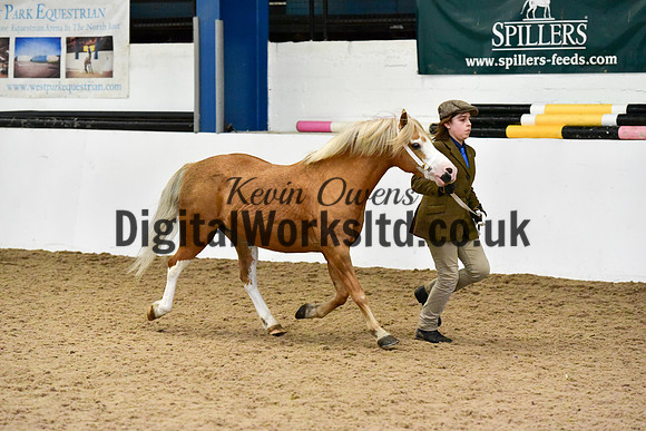 NECWPCA-SUMMER-WELSH-SILVER-MEDAL-SHOW (7 of 61)