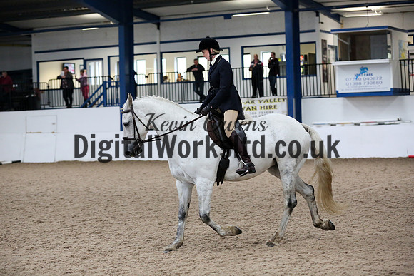 NECWPCA-SUMMER-WELSH-SILVER-MEDAL-SHOW (61 of 315)