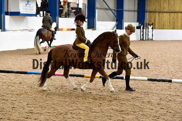 NECWPCA-SUMMER-WELSH-SILVER-MEDAL-SHOW (6 of 419)