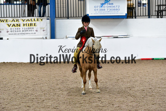 NECWPCA-SUMMER-WELSH-SILVER-MEDAL-SHOW (79 of 92)