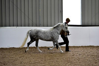 NECWPCA-SUMMER-WELSH-SILVER-MEDAL-SHOW (12 of 412)