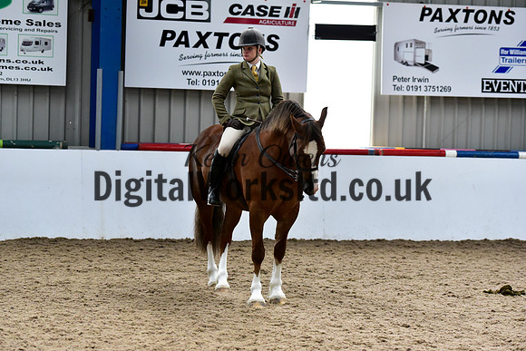 NECWPCA-SUMMER-WELSH-SILVER-MEDAL-SHOW (21 of 92)