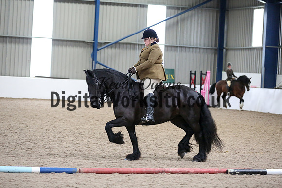 NECWPCA-SUMMER-WELSH-SILVER-MEDAL-SHOW (118 of 325)